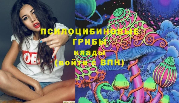 apvp Навашино