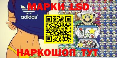 стафф Берёзовский