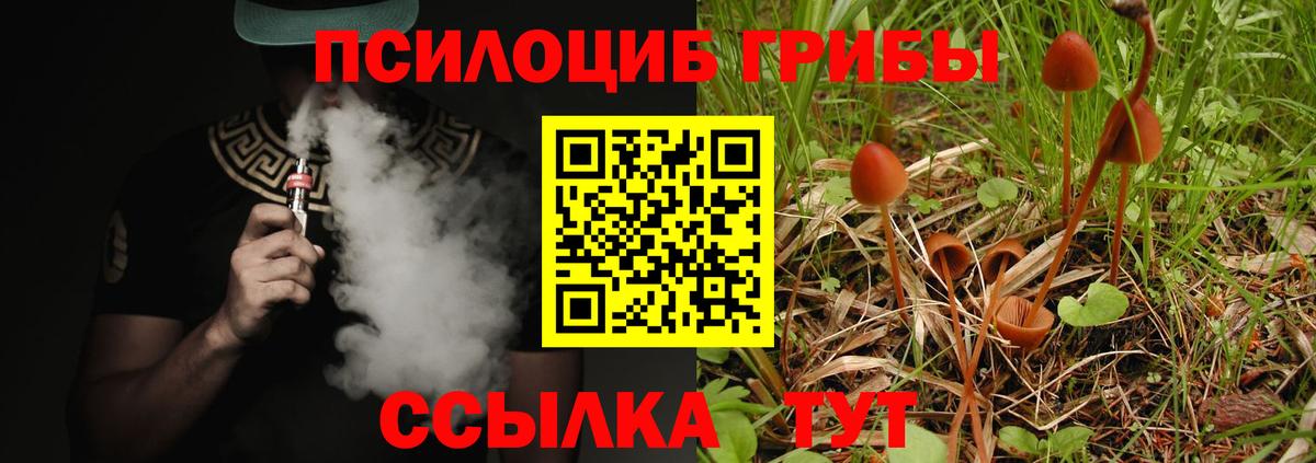 Галлюциногенные грибы прущие грибы  Вход с VPN  Стрежевой 